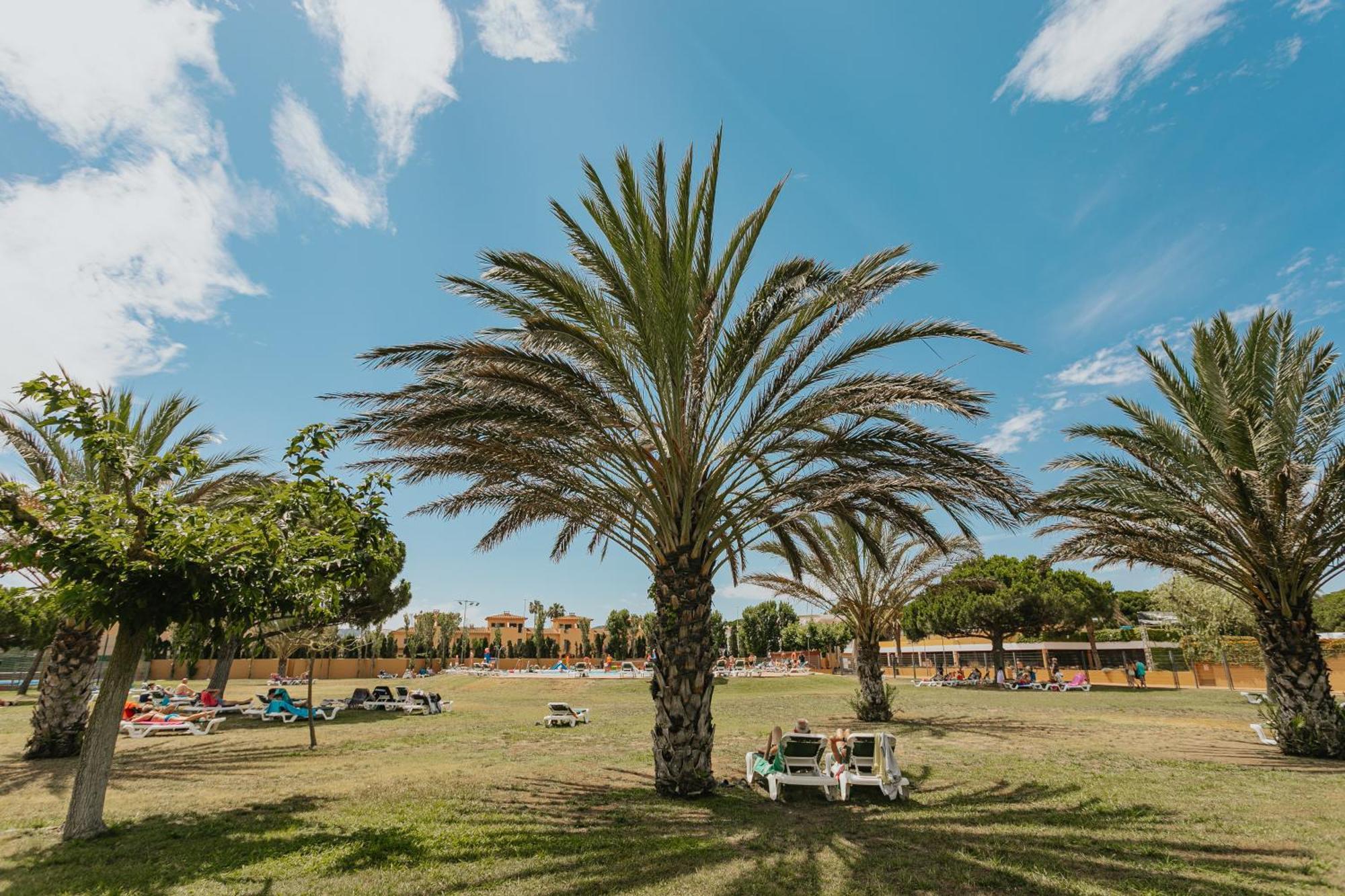 Camping & Bungalows Platja Brava ปัลส์ ภายนอก รูปภาพ